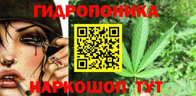 крисы Волжский