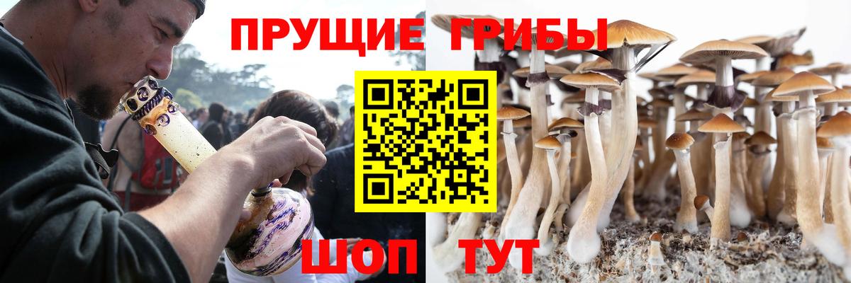 Кострома  Псилоцибиновые грибы GOLDEN TEACHER  Вход с VPN 